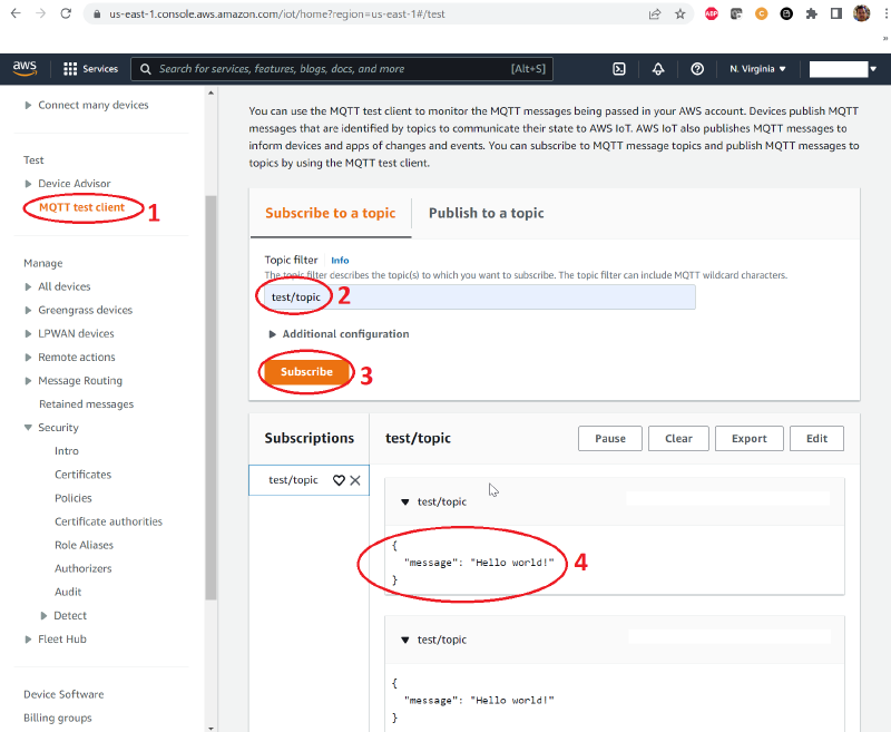 AWS IoT Core showing Hello World messages
