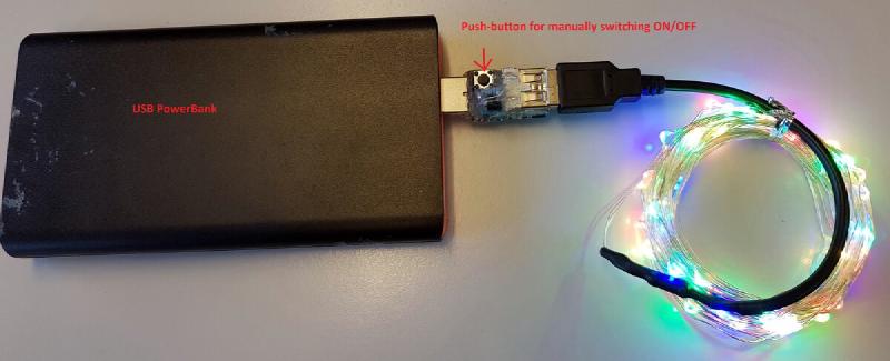 LED fairy lights in the garden